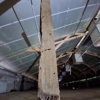 Traitement d'une poutre de charpente (jambe de force)