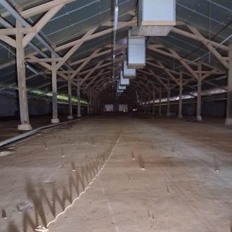 Traitement d'une poutre de charpente (jambe de force)