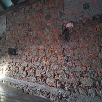 Traitement de la mérule sur mur