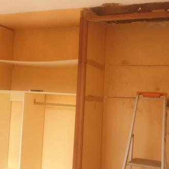 Présence de mérule