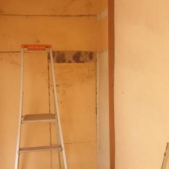 Présence de mérule