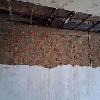 Traitement de la mérule sur mur