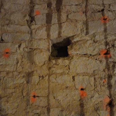 Traitement conophiores et des solives